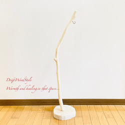 流木インテリア 無垢の流木を磨いた白い流木スタンド ランタンやエアプラントを飾れる置物 北欧 照明 N102 13枚目の画像