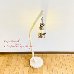 流木インテリア 無垢の流木を磨いた白い流木スタンド ランタンやエアプラントを飾れる置物 北欧 照明 N102 4枚目の画像