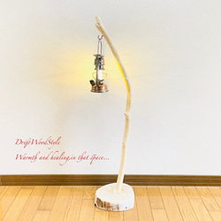 流木インテリア 無垢の流木を磨いた白い流木スタンド ランタンやエアプラントを飾れる置物 北欧 照明 N102 9枚目の画像