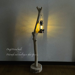 流木インテリア 無垢の流木を磨いた白い流木スタンド ランタンやエアプラントを飾れる置物 北欧 照明 N103 2枚目の画像