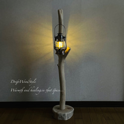 流木インテリア 無垢の流木を磨いた白い流木スタンド ランタンやエアプラントを飾れる置物 北欧 照明 N103 7枚目の画像