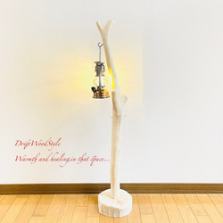 流木インテリア 無垢の流木を磨いた白い流木スタンド ランタンやエアプラントを飾れる置物 北欧 照明 N103 9枚目の画像