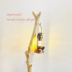 流木インテリア 無垢の流木を磨いた白い流木スタンド ランタンやエアプラントを飾れる置物 北欧 照明 N103 5枚目の画像