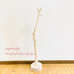 流木インテリア 無垢の流木を磨いた白い流木スタンド ランタンやエアプラントを飾れる置物 北欧 照明 N103 13枚目の画像