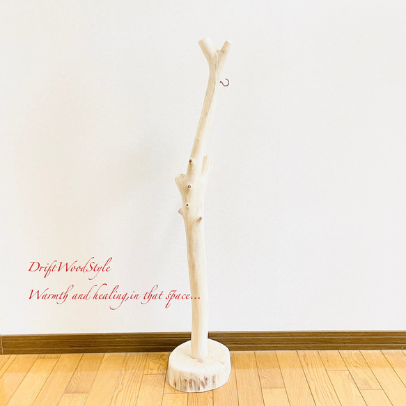 流木インテリア 無垢の流木を磨いた白い流木スタンド ランタンやエアプラントを飾れる置物 北欧 照明 N103 13枚目の画像