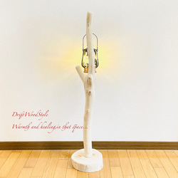 流木インテリア 無垢の流木を磨いた白い流木スタンド ランタンやエアプラントを飾れる置物 北欧 照明 N103 12枚目の画像