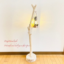 流木インテリア 無垢の流木を磨いた白い流木スタンド ランタンやエアプラントを飾れる置物 北欧 照明 N103 1枚目の画像