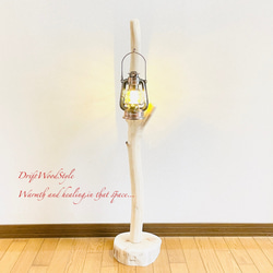 流木インテリア 無垢の流木を磨いた白い流木スタンド ランタンやエアプラントを飾れる置物 北欧 照明 N103 6枚目の画像