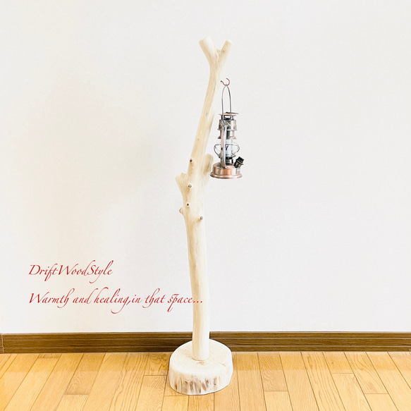 流木インテリア 無垢の流木を磨いた白い流木スタンド ランタンやエアプラントを飾れる置物 北欧 照明 N103 3枚目の画像