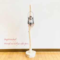 流木インテリア 無垢の流木を磨いた白い流木スタンド ランタンやエアプラントを飾れる置物 北欧 照明 N103 8枚目の画像