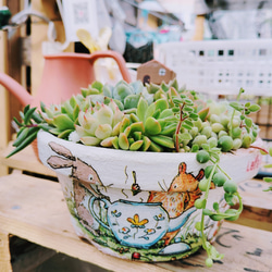 割れ鉢アート⭐乙女心　ベージュ♪リメ鉢　リメイク鉢　リメ缶　リメイク缶　多肉 リメ鉢<900 3.5号 乙女心 リメイク鉢 多肉植物 プランター 寄せ