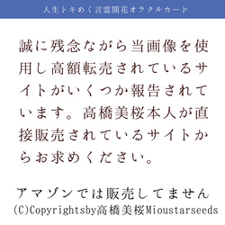 【新】改訂版言霊開花®︎オラクルカード44枚【巾着付】初心者日本語解説付！小さめ＊HSP繊細さん心に寄り添うカード達 9枚目の画像