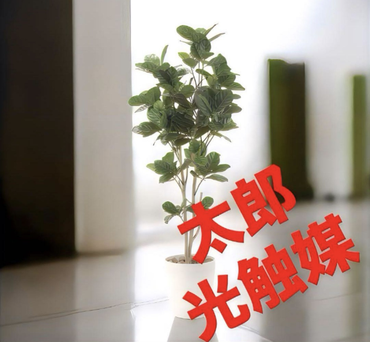 光触媒　人工観葉植物　ウォールグリーン　フェイクグリーン　パンの木125ptw 16,872円