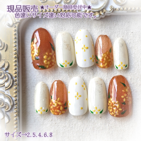 スネイルシェル　千秋　輸入版 楽天市場】【andyounailsalon×ネイル工房】 アンバサダーコラボ
