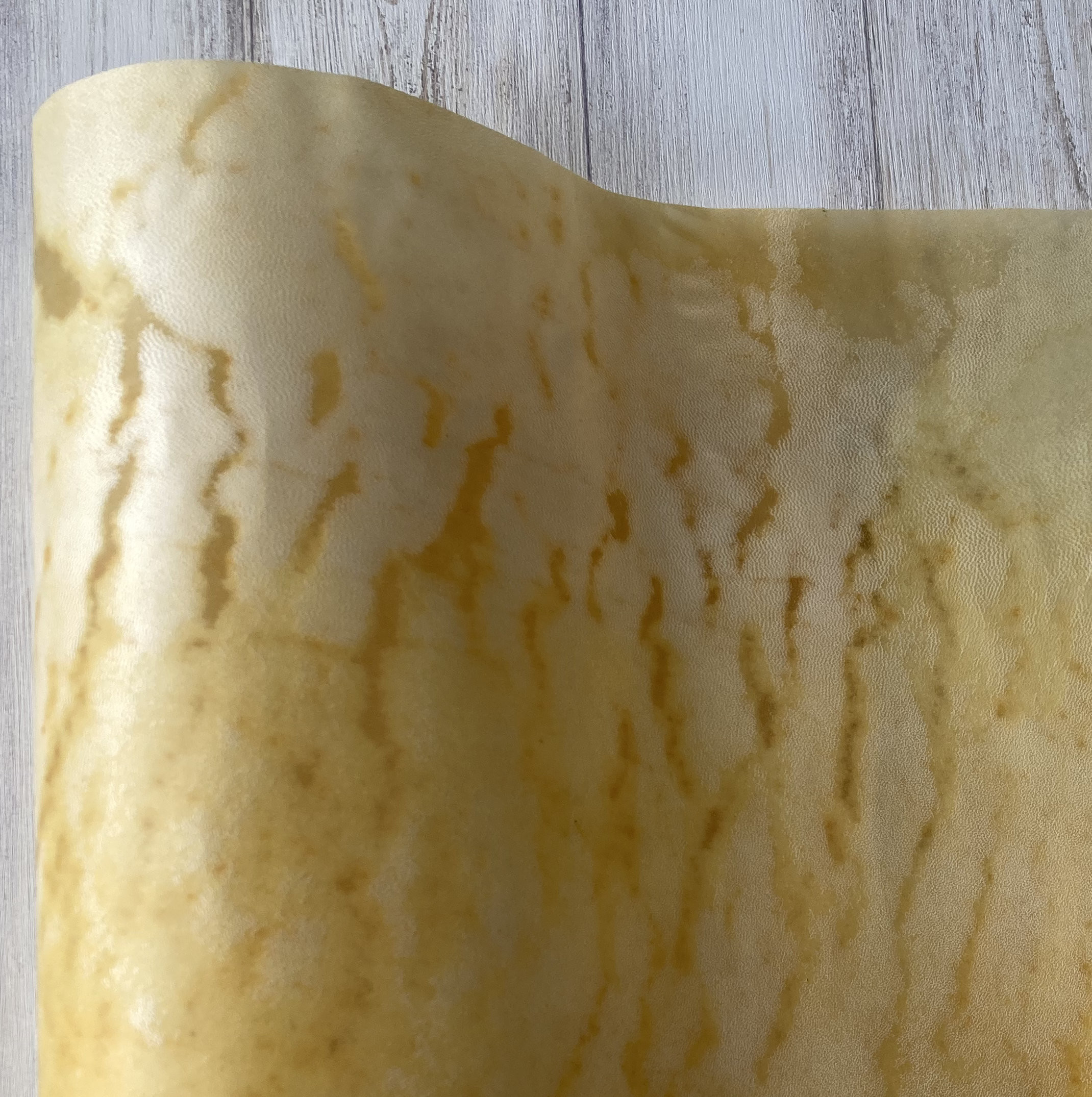 フランス製パーチメント（羊皮紙）・30cm×75cm・羊皮　250817-031