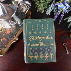 【希少】1890年　美しいドイツの古いアンティーク詩集　イラストたっぷり 3d3dc5c5c8dfb55dd132a7e634faeb