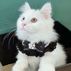 EMY's Gallery 猫襟 ワンちゃん襟 首輪 カギ編み 犬襟 つけ襟