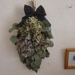 ユーカリと千日紅のスワッグ ドライフラワー GREEN ROSE 通販