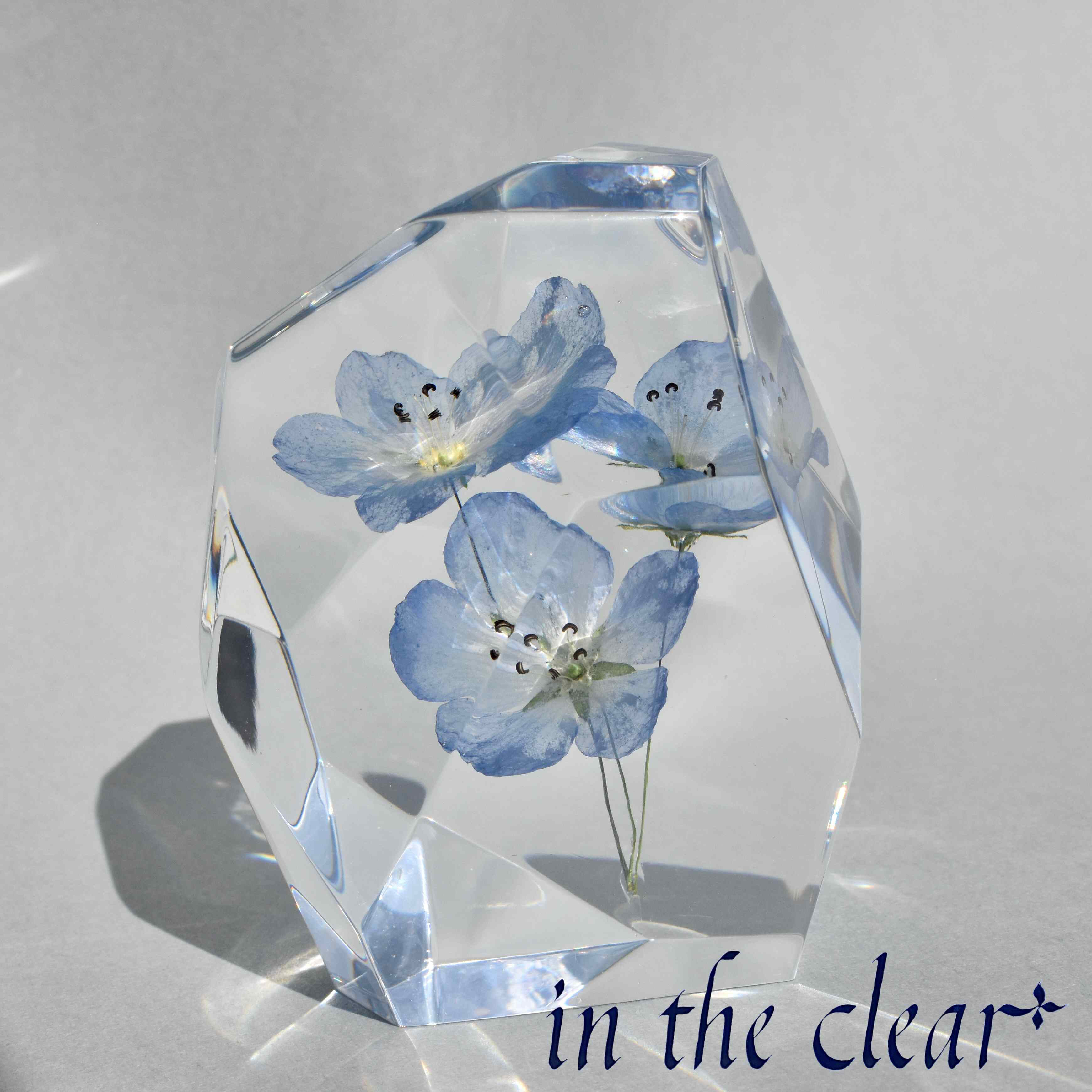 植物標本　ネモフィラ　青　レジン　鉱石型