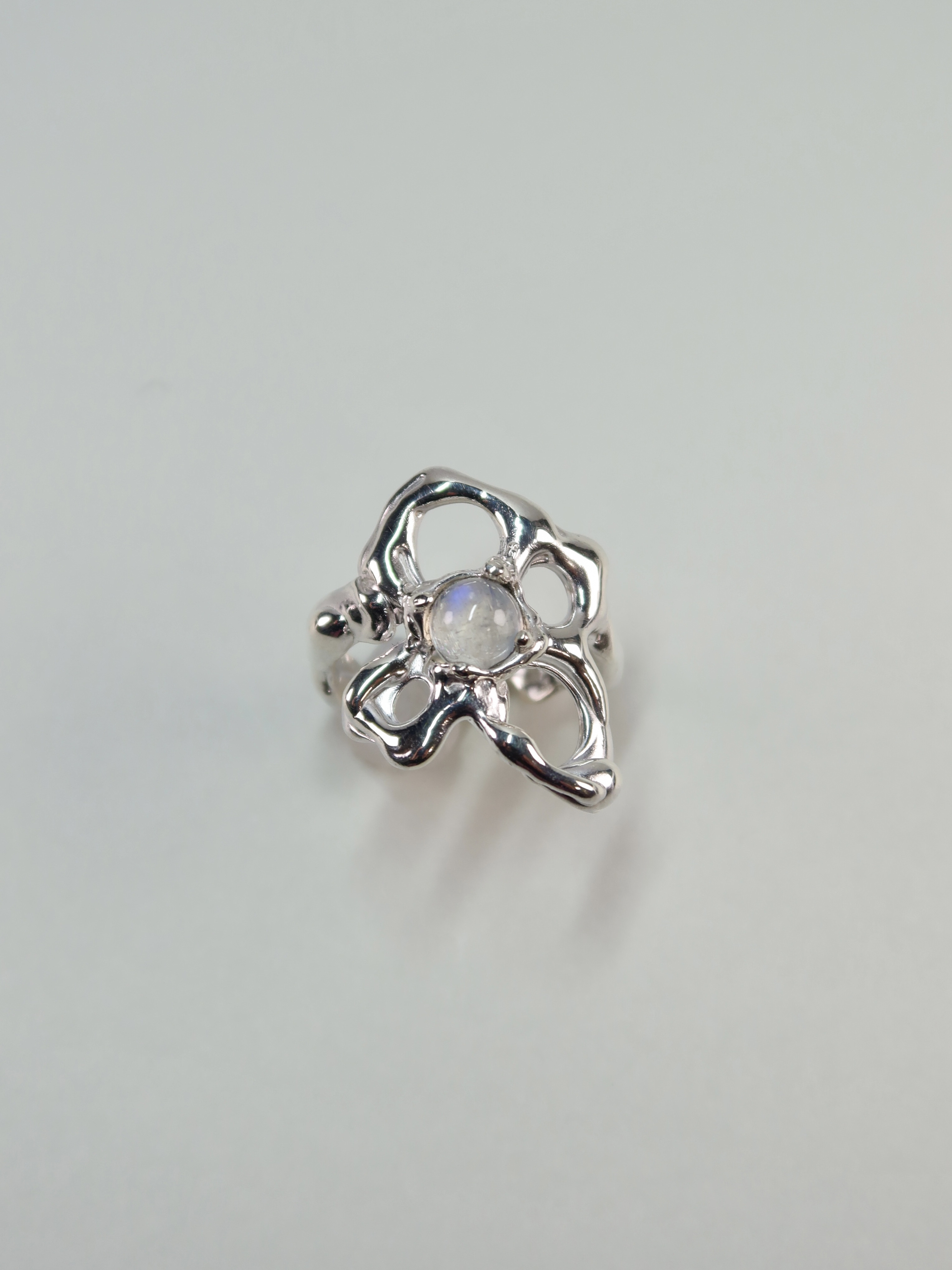 浮遊型スポライトサンゴ S14