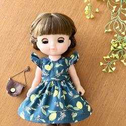 サンタワンピースセット♡イルメール イーマリー ハッピードール