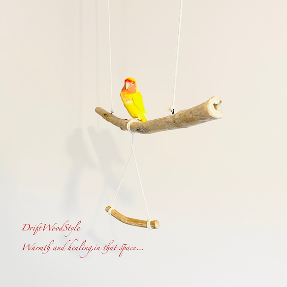 流木止まり木  シンプルな天然流木の小鳥の止まり木 吊り下げタイプ インコ 鳥 ブランコ 自然木 N54 3枚目の画像