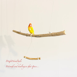 流木止まり木  シンプルな天然流木の小鳥の止まり木 吊り下げタイプ インコ 鳥 ブランコ 自然木 N54 2枚目の画像