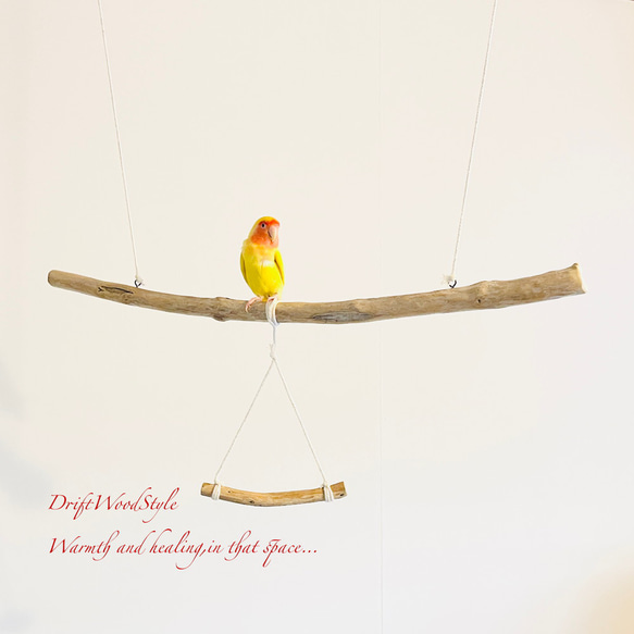 流木止まり木  シンプルな天然流木の小鳥の止まり木 吊り下げタイプ インコ 鳥 ブランコ 自然木 N54 1枚目の画像