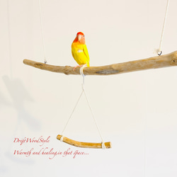 流木止まり木  シンプルな天然流木の小鳥の止まり木 吊り下げタイプ インコ 鳥 ブランコ 自然木 N54 4枚目の画像