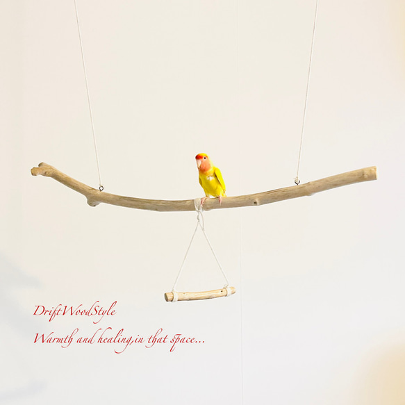 流木止まり木  シンプルな天然流木の小鳥の止まり木 吊り下げタイプ インコ 鳥 ブランコ 自然木 N56 1枚目の画像