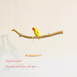 流木止まり木  シンプルな天然流木の小鳥の止まり木 吊り下げタイプ インコ 鳥 ブランコ 自然木 N56 2枚目の画像