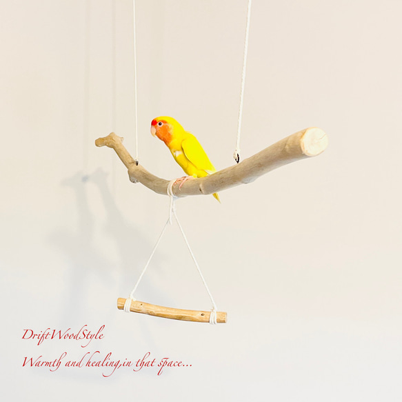 流木止まり木  シンプルな天然流木の小鳥の止まり木 吊り下げタイプ インコ 鳥 ブランコ 自然木 N56 3枚目の画像