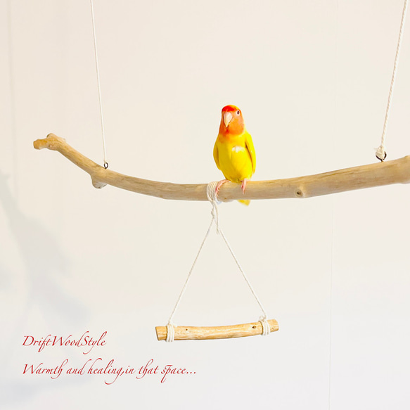 流木止まり木  シンプルな天然流木の小鳥の止まり木 吊り下げタイプ インコ 鳥 ブランコ 自然木 N56 4枚目の画像
