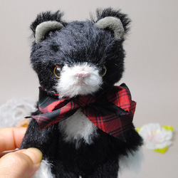 作家さま　ブリティッシュショートヘアの猫のぬいぐるみ　テディベア　ハンドメイド ぬいぐるみ化が止まらないテスさん🧸🧸🧸 たぶん三等身