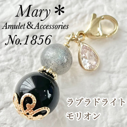 558 シェルパール×シャンパンクォーツ 金運 良縁 恋愛運