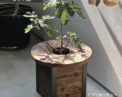 ★植木★植木鉢もターンテーブルつき★ 選べるプランターセット／植物 植木鉢 目隠し テーブル プランター