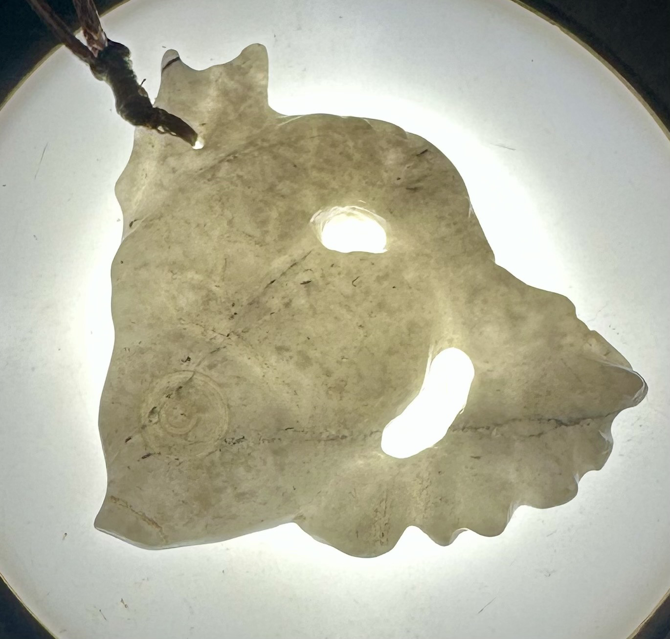 2025.8.25白金魚　糸魚川白翡翠