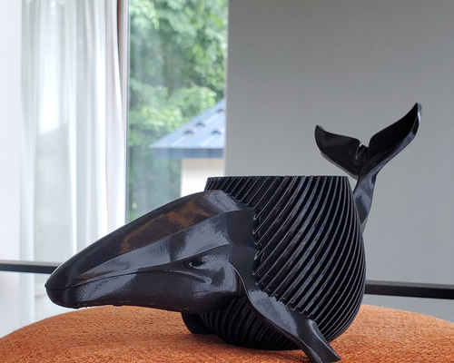 3caed3908143a7d2a51a9a51e7499f