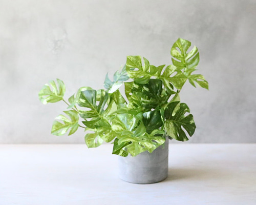 b89fba11106db1ac63b3ba9eaade2d