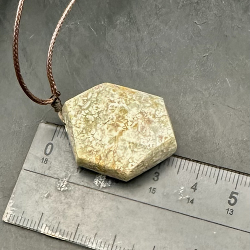 2025.8.26花珊瑚石六界 新潟阿賀野産珊瑚石 ネックレス・ペンダント