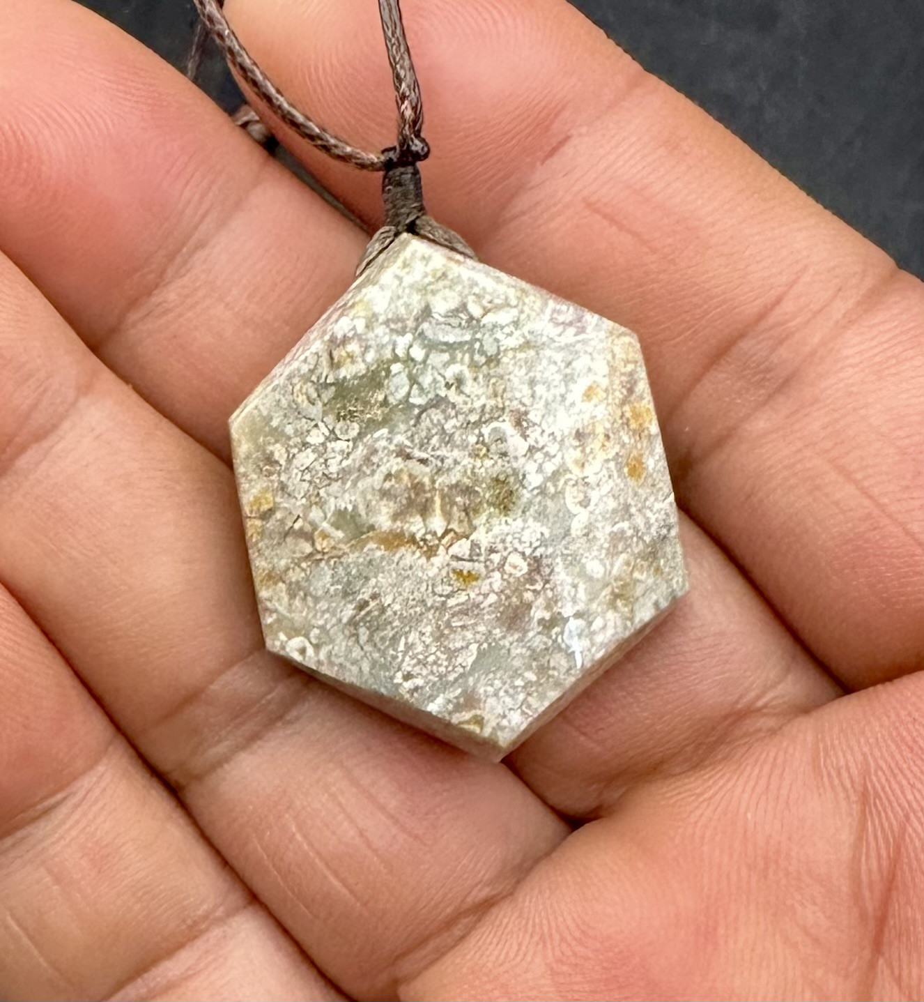 2025.8.26花珊瑚石六界　新潟阿賀野産珊瑚石