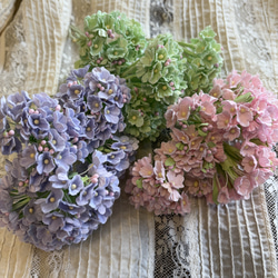 ミニョネット・ミニビスクドール❤︎勿忘草ちゃん その他人形 A-C