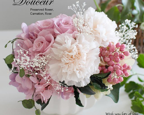 ピンクカーネーションアレンジメント カーネーション アレンジメント ピンク XS カップタイプ