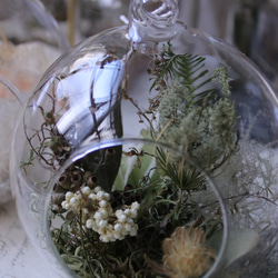 受注制作森の雰囲気リース クリスマス新作☆森のリース 20cm（受注制作品） | el flowers