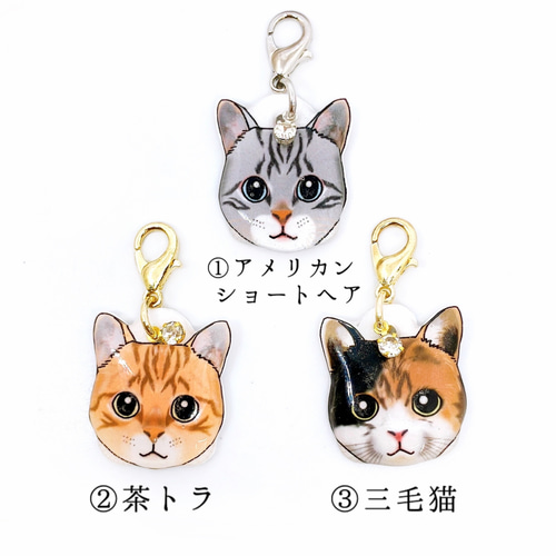猫 顔 ストラップチャーム アメリカンショートヘア 三毛 ネコ 茶トラ