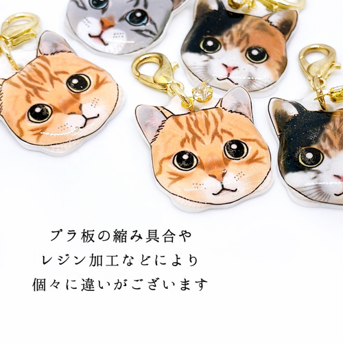 猫 顔 ストラップチャーム アメリカンショートヘア 三毛 ネコ 茶トラ
