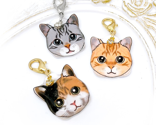 猫 顔 ストラップチャーム アメリカンショートヘア 三毛 ネコ 茶トラ