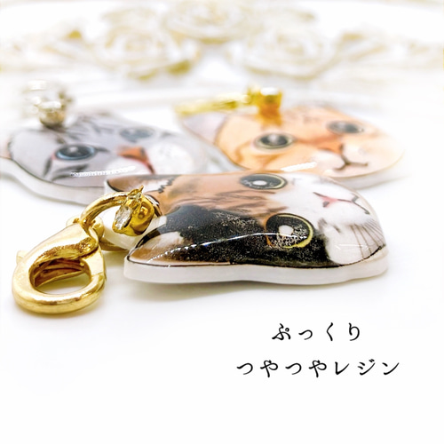 猫 顔 ストラップチャーム アメリカンショートヘア 三毛 ネコ 茶トラ