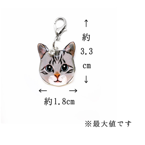 猫 顔 ストラップチャーム アメリカンショートヘア 三毛 ネコ 茶トラ