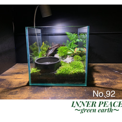 78 苔アート テラリウム イモリウム カエルリウム 完成品